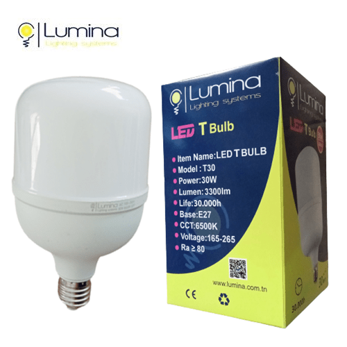 T30 Lampe LED Base E27 30W Lumière Blanche (6500k) - Lumina